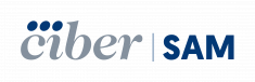 Logo CIBERSAM transparent