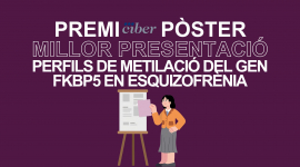 Premi pòster millor presentació laboratori d'idees - Cibersam