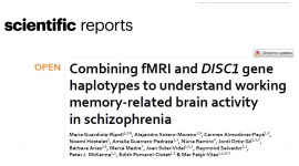 Publicat un estudi de neuroimatge i genètica sobre el paper del gen DISC1 en la comprensió dels canvis en l’activitat del cervell en l’esquizofrènia