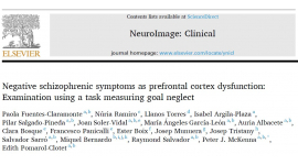 Investigadors de FIDMAG publiquen un estudi sobre els símptomes negatius a l'esquizofrènia com a disfunció de l'escorça prefrontal