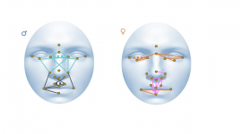 Descriuen la relació entre la morfologia facial i les mesures del còrtex cerebral en pacients amb esquizofrènia i trastorn bipolar