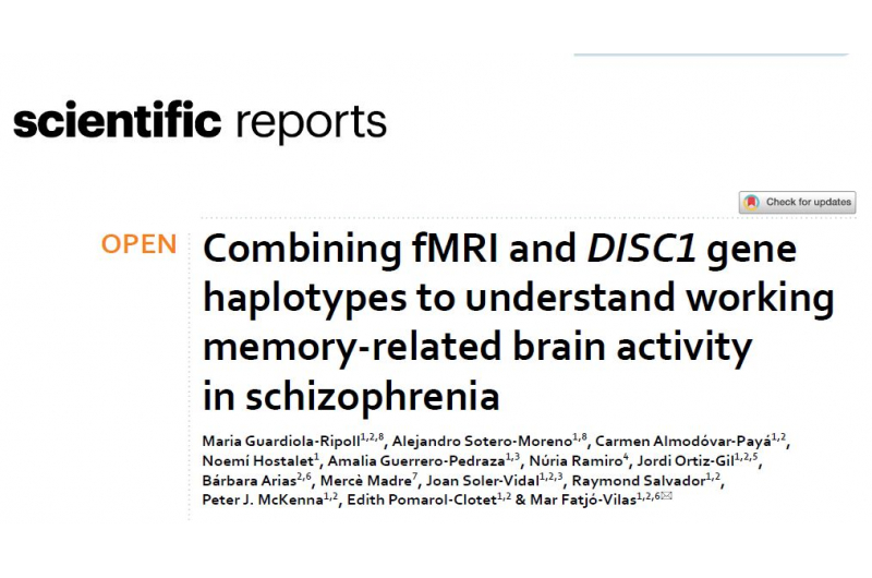 Publicado un estudio de neuroimagen y genética sobre el papel del gen DISC1 en la comprensión de los cambios en la actividad del cerebro en la esquizofrenia