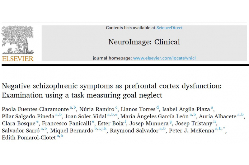 Investigadores de FIDMAG publican un estudio sobre los síntomas negativos en la esquizofrenia como disfunción de la corteza prefrontal
